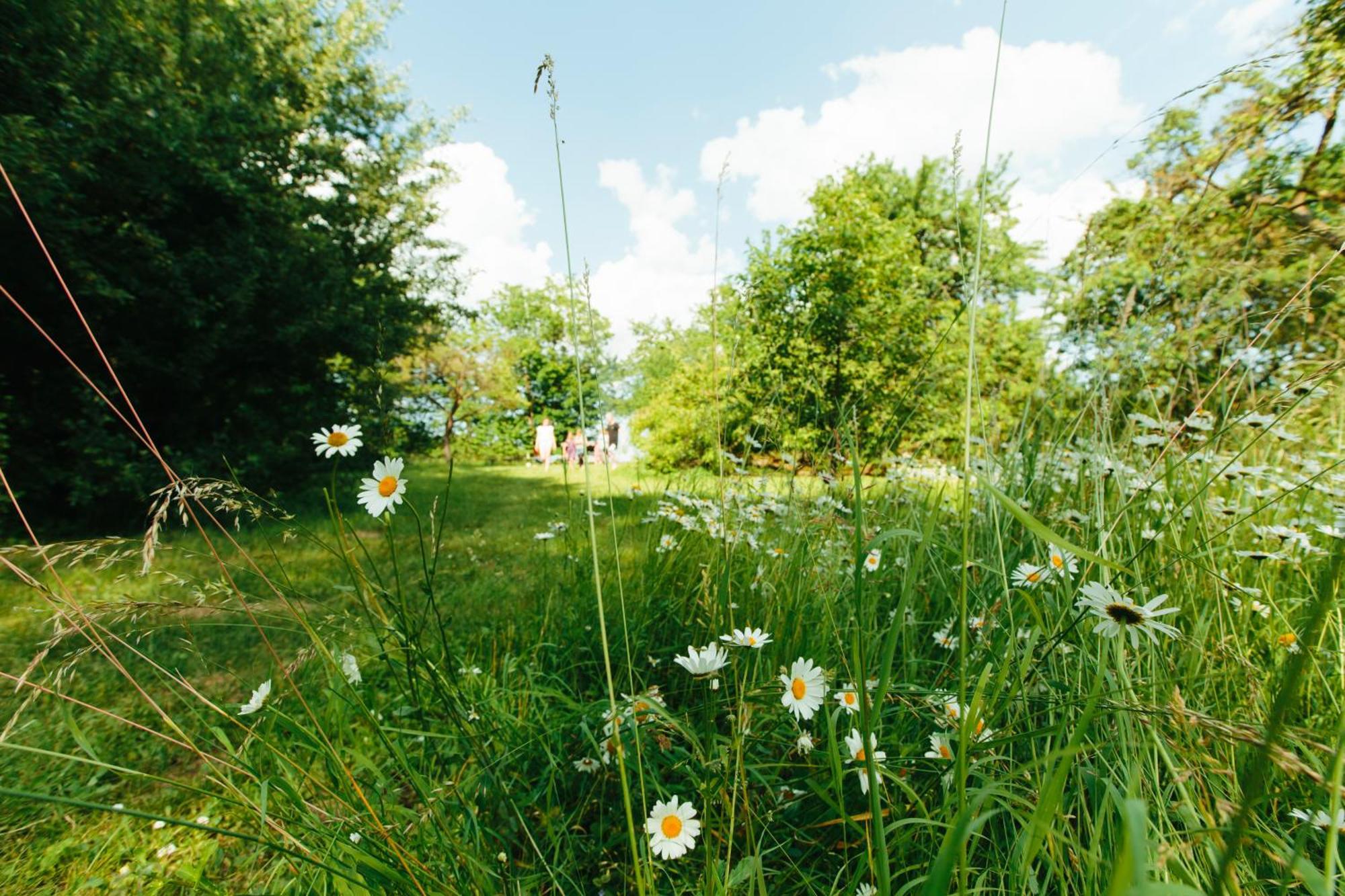Feriendomizil Alter Garten Temmen-Ringenwalde Luaran gambar