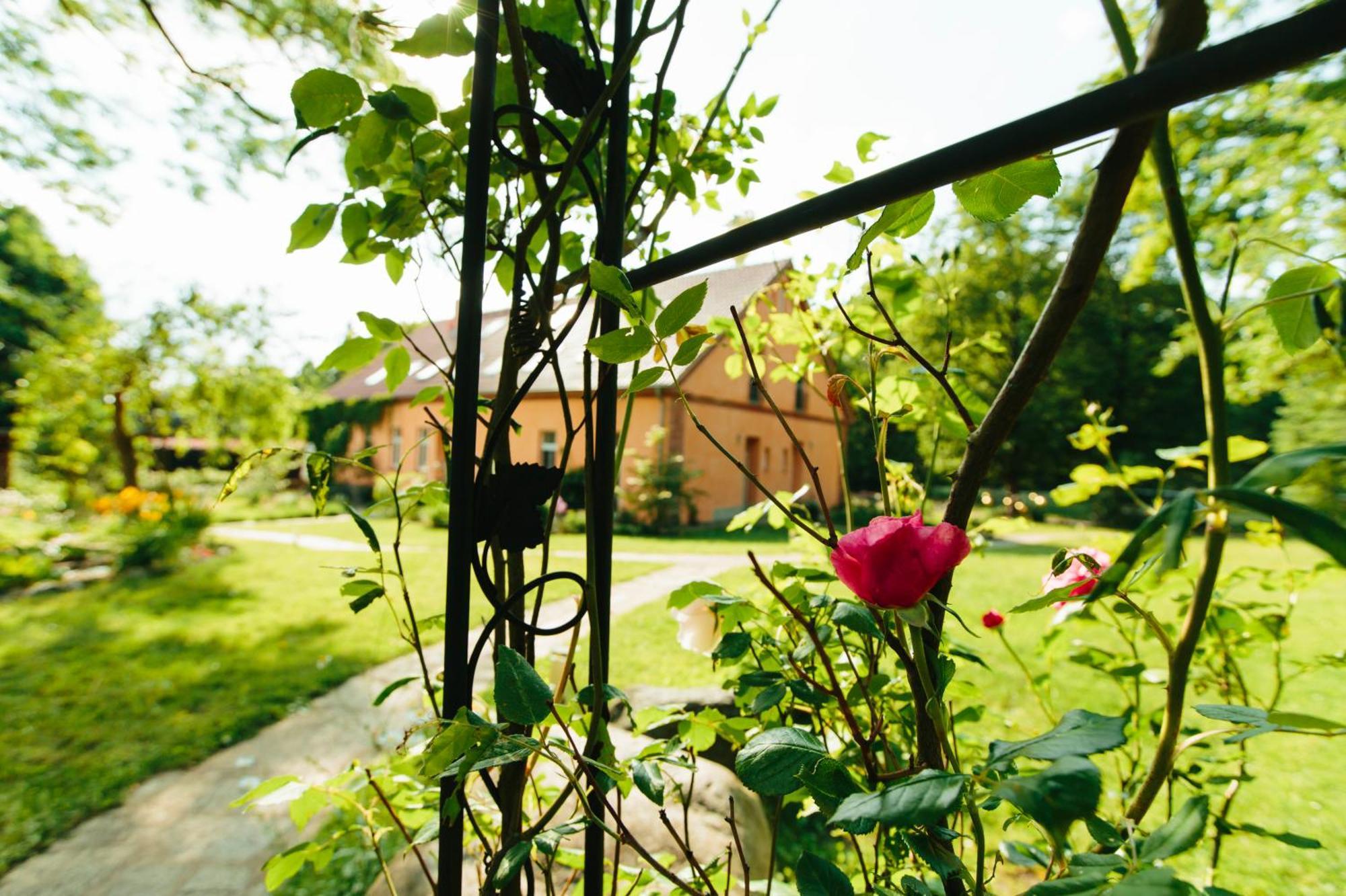 Feriendomizil Alter Garten Temmen-Ringenwalde Luaran gambar