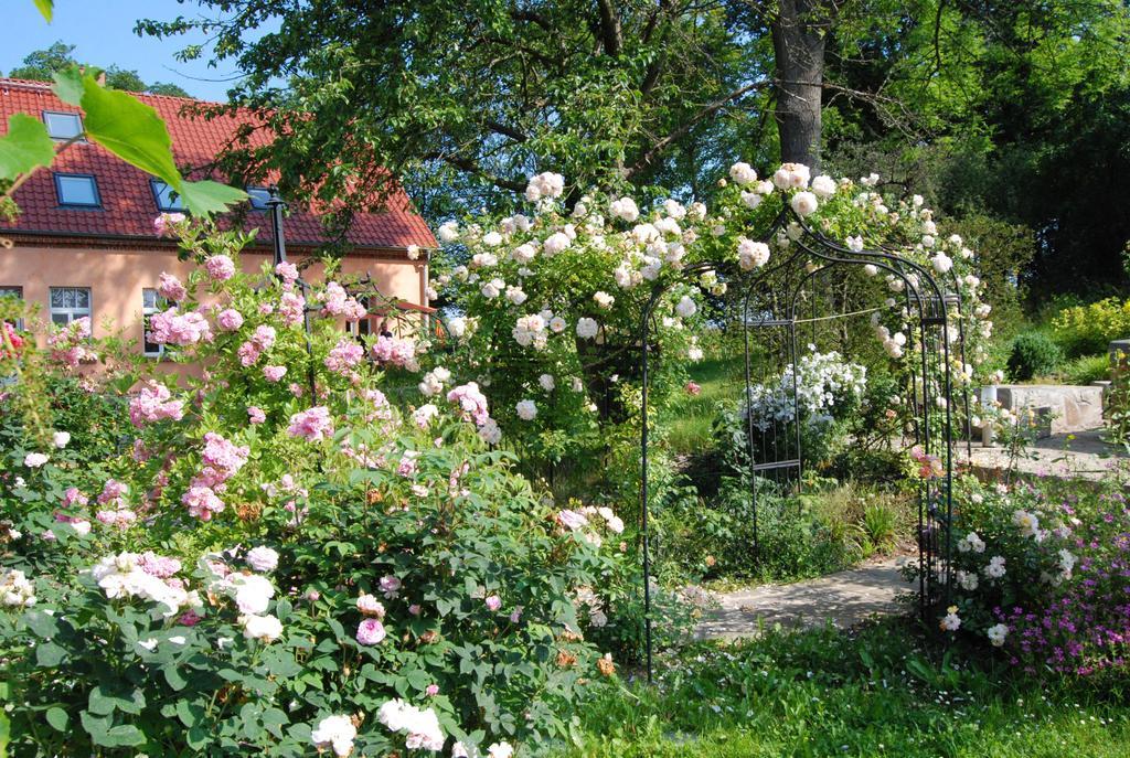 Feriendomizil Alter Garten Temmen-Ringenwalde Luaran gambar